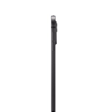 Apple 11 inç iPad Pro M4 WiFi 2TB  Standard  Cam Uzay Siyahı  MVVG3TU/A