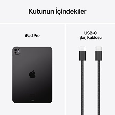 Apple 11 inç iPad Pro M4 WiFi 2TB  Standard  Cam Uzay Siyahı  MVVG3TU/A