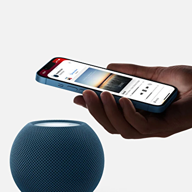Apple HomePod Mini Uzay Grisi  MY5G2D/A
