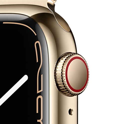 Apple Watch Series 7 GPS + Cellular, 41mm Altın Rengi Paslanmaz Çelik Kasa ve Altın Rengi Milano Loop - MKJ03TU/A