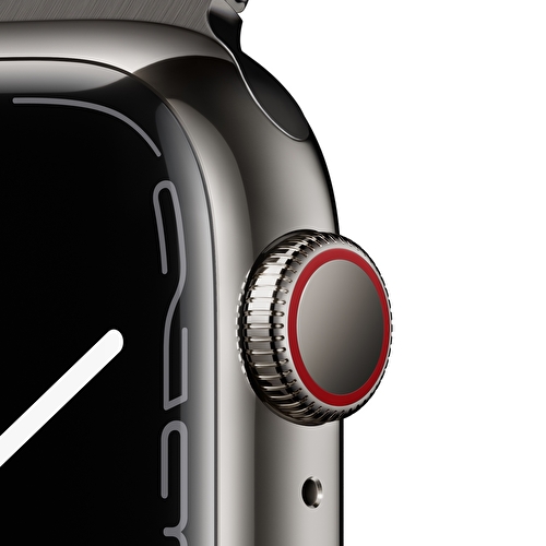 Apple Watch Series 7 GPS + Cellular, 41mm Grafit Paslanmaz Çelik Kasa ve Grafit Milano Loop - MKJ23TU/A