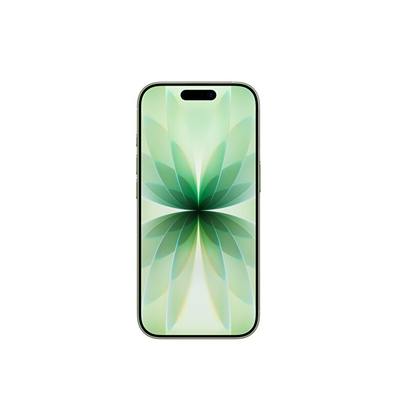 iPhone 17 256GB Ada Çayı MG6N4TU/A