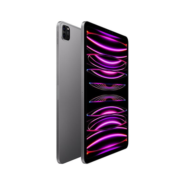 Apple 11 inç iPad Pro Wi-Fi 256GB - Uzay Grisi  MNXF3TU/A