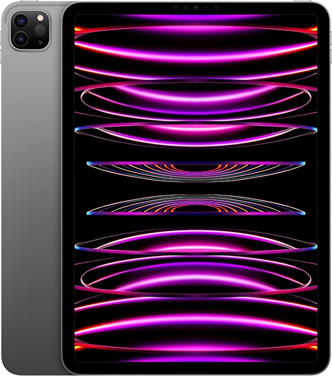 Apple 11 inç iPad Pro Wi-Fi 2TB - Uzay Grisi MNXM3TU/A MNXM3TU/A