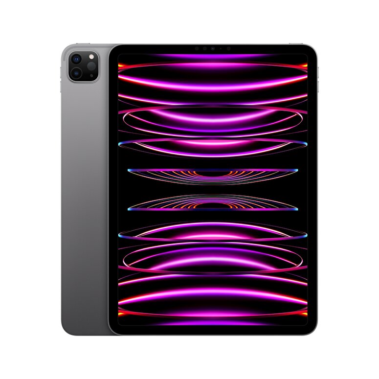 Apple 12.9 inç iPad Pro Wi-Fi 2TB - Uzay Grisi  MNXY3TU/A