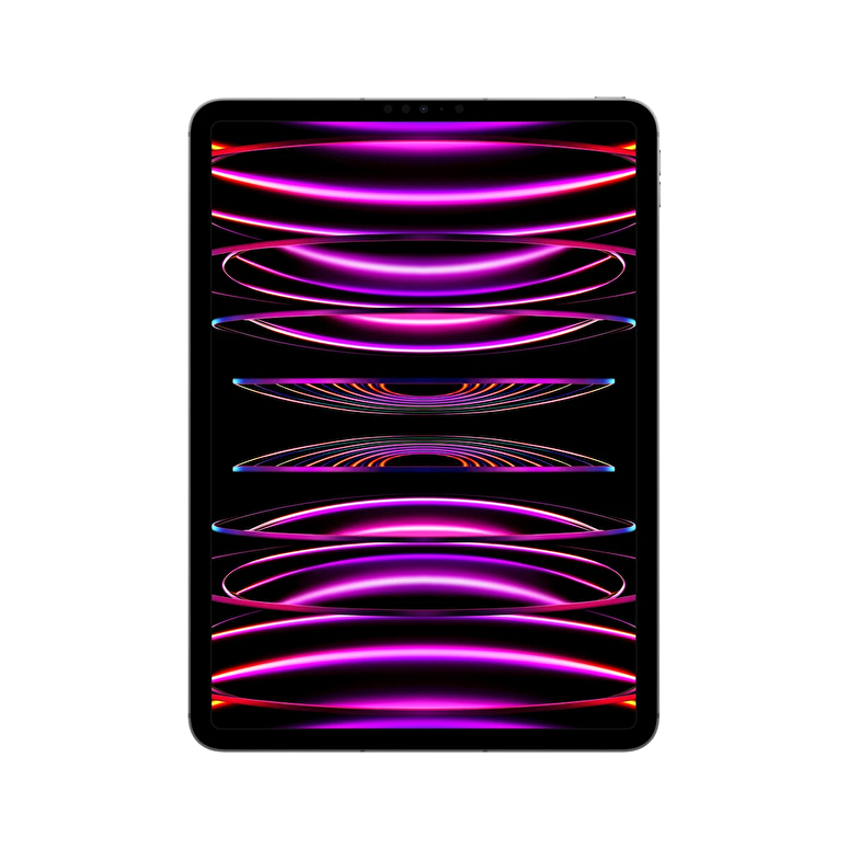 Apple 11 inç iPad Pro Wi-Fi + Cellular 1TB - Uzay Grisi MNYJ3TU/A MNYJ3TU/A