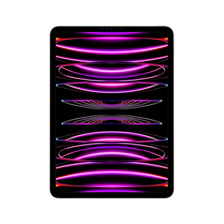 Apple 11 inç iPad Pro Wi-Fi + Cellular 2TB - Uzay Grisi MNYL3TU/A MNYL3TU/A
