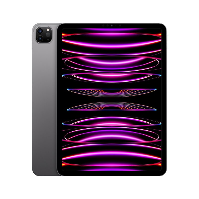 Apple 11 inç iPad Pro Wi-Fi 1TB - Uzay Grisi MNXK3TU/A MNXK3TU/A