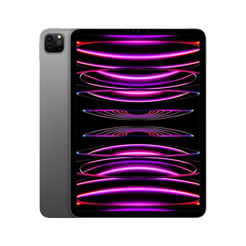 Apple 11 inç iPad Pro Wi-Fi 2TB - Uzay Grisi MNXM3TU/A MNXM3TU/A